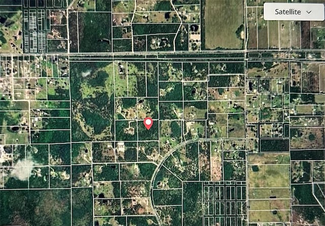 Dog Leg Trl, Osteen, FL 32764 - photo 8
