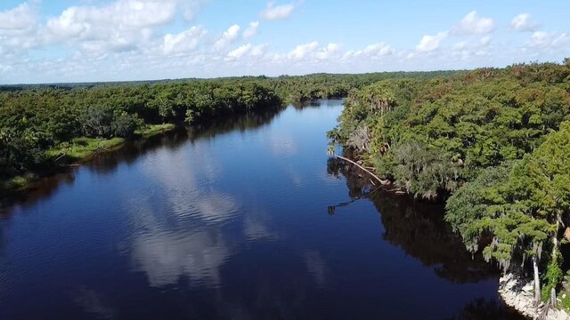 Dog Leg Trl, Osteen, FL 32764 - photo 13