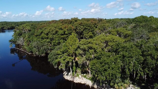 Dog Leg Trl, Osteen, FL 32764 - photo 14