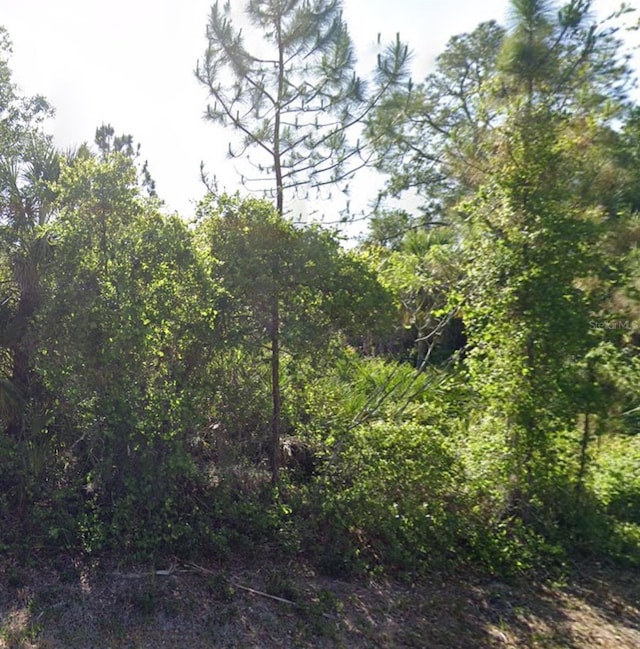 80 Troutdale St, Port Charlotte FL, 33954 land for sale