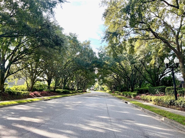 9060 Heritage Bay Cir, Orlando, FL 32836 - view of road with sidewalks, street lights, and curbs