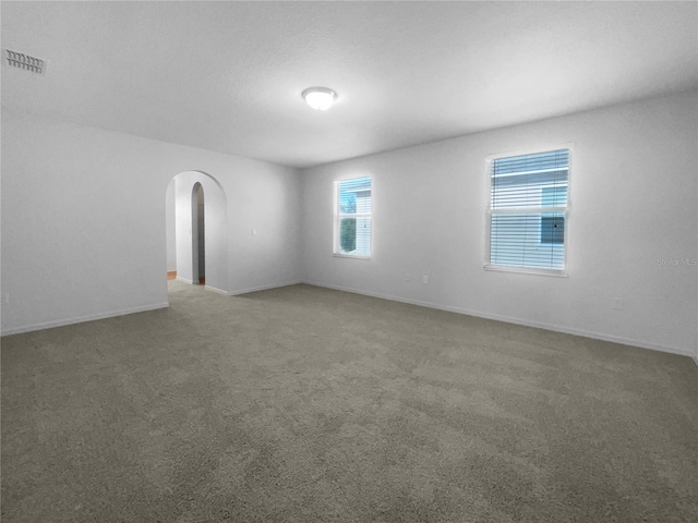 carpeted empty room with a healthy amount of sunlight