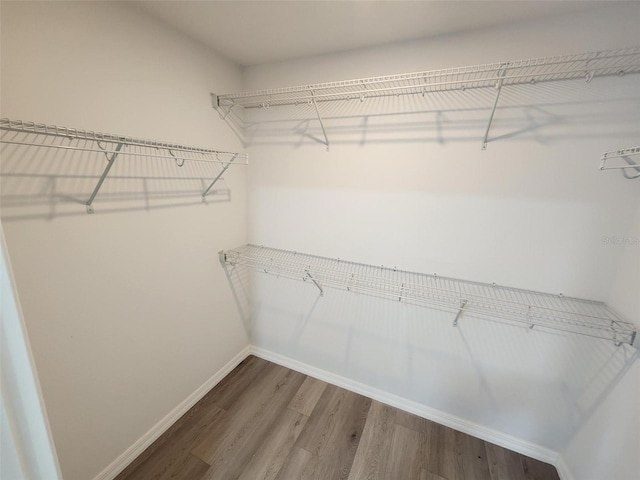 walk in closet with wood-type flooring