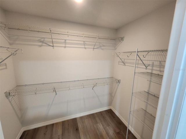 spacious closet with dark wood-style floors