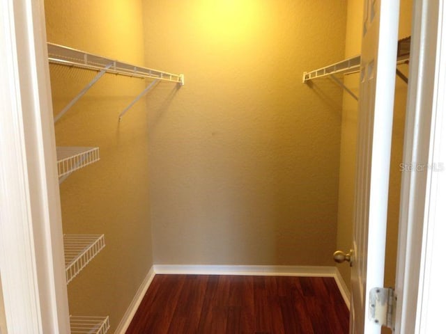 walk in closet with wood finished floors