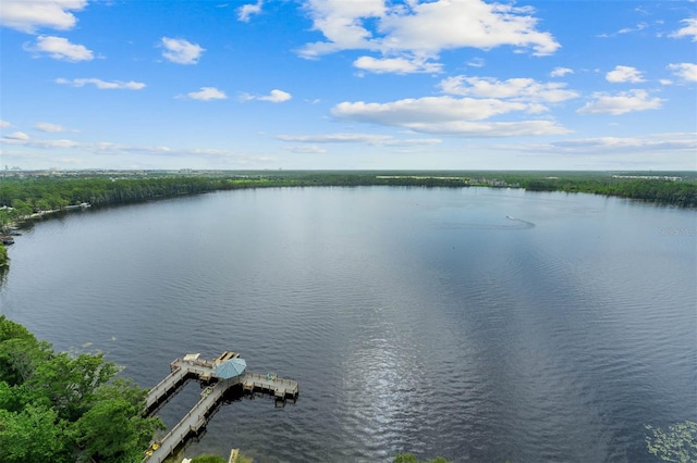 view of water feature with a dock