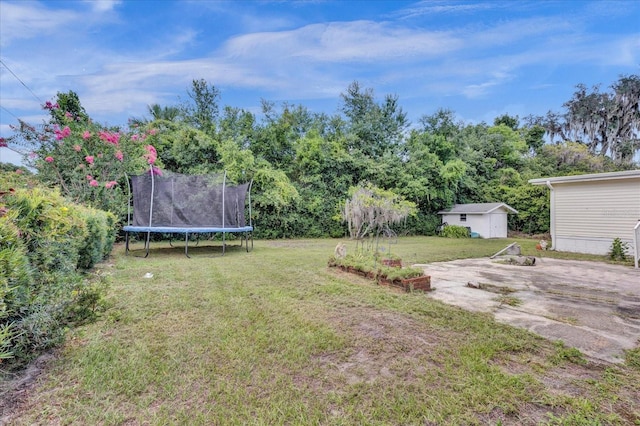 view of yard featuring a shed and a trampoline