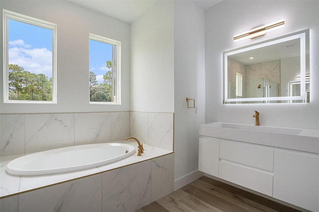 bathroom with plenty of natural light, vanity, and wood-type flooring