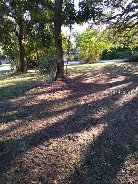 1512 S Missouri Ave, Clearwater, FL 33756 - photo 4