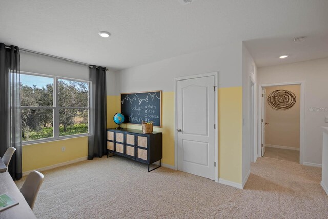 interior space with light colored carpet