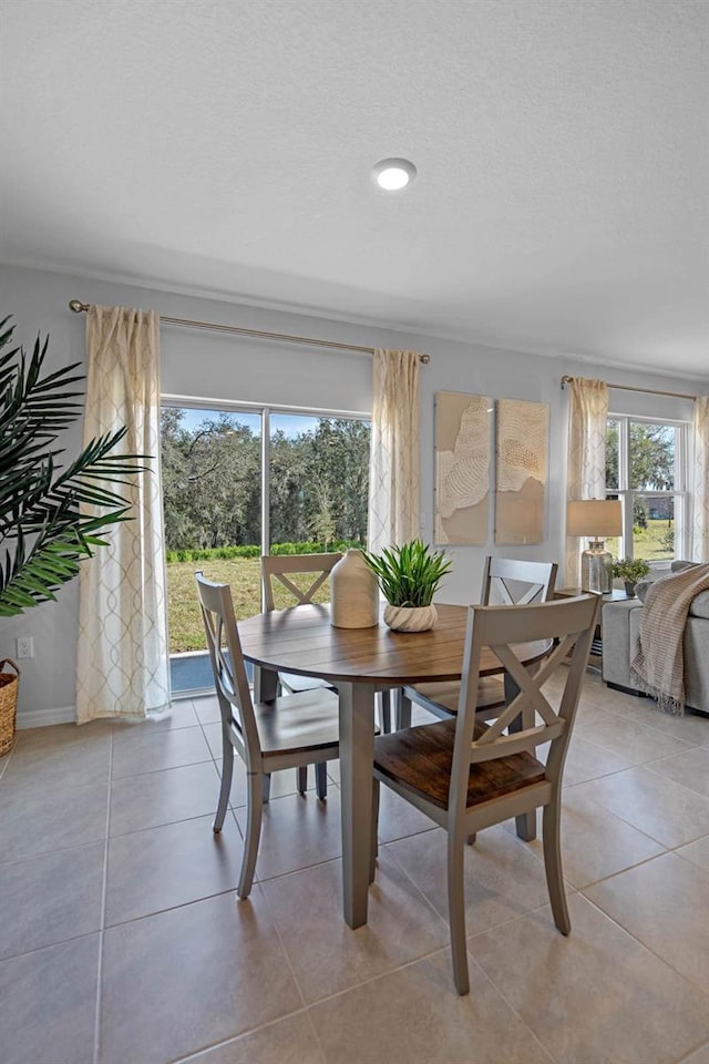 tiled dining room featuring a healthy amount of sunlight