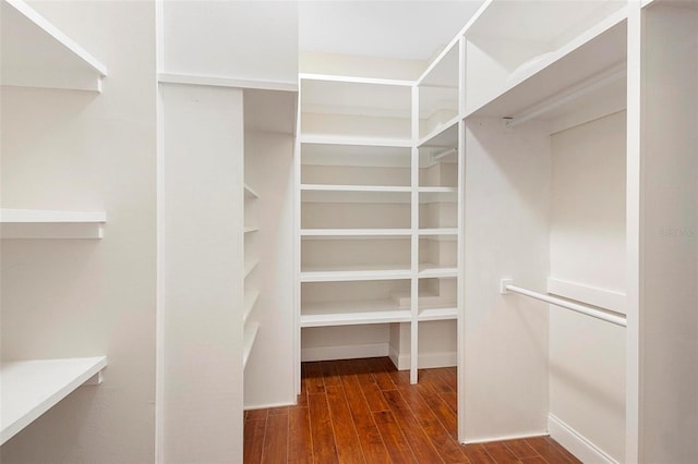 spacious closet featuring dark hardwood / wood-style floors