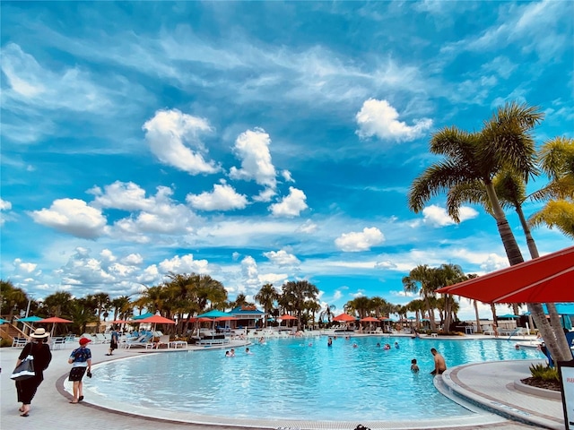 view of swimming pool