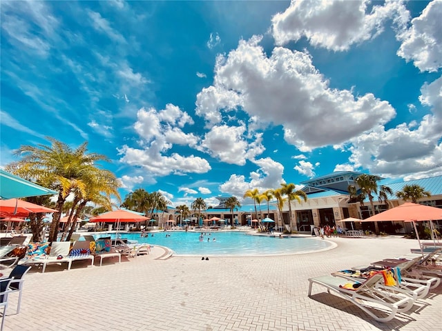 view of pool featuring a patio area