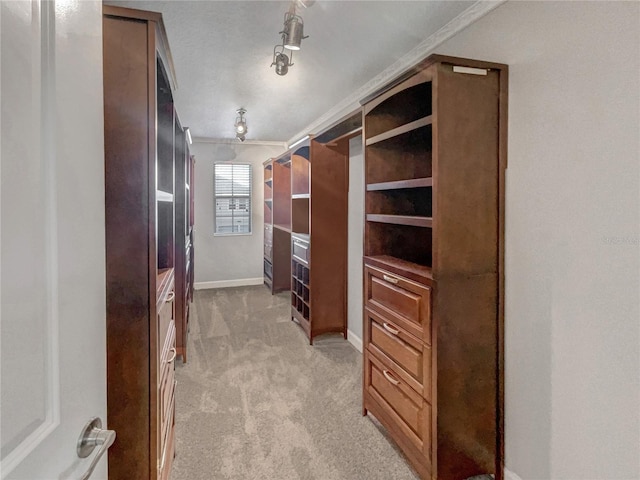 walk in closet with light carpet