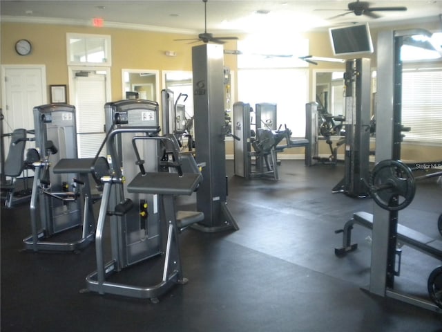 gym featuring ceiling fan and ornamental molding