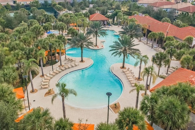 view of swimming pool featuring a patio area