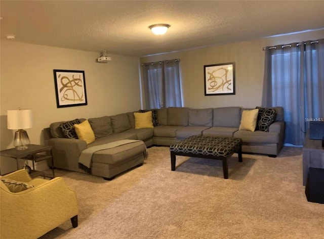 carpeted living room with a textured ceiling