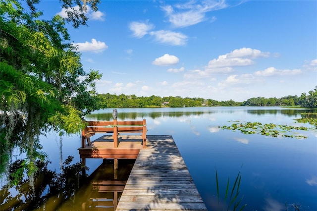 dock area with a water view