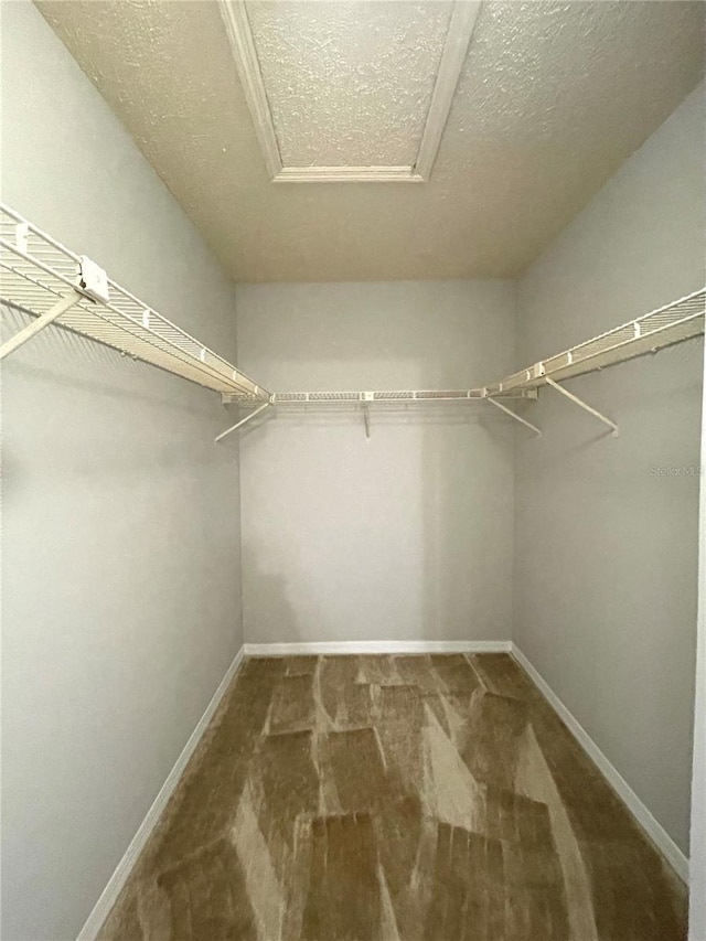 walk in closet featuring carpet floors