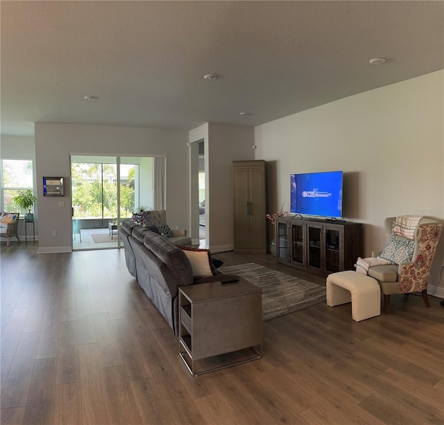 living room with dark wood-type flooring