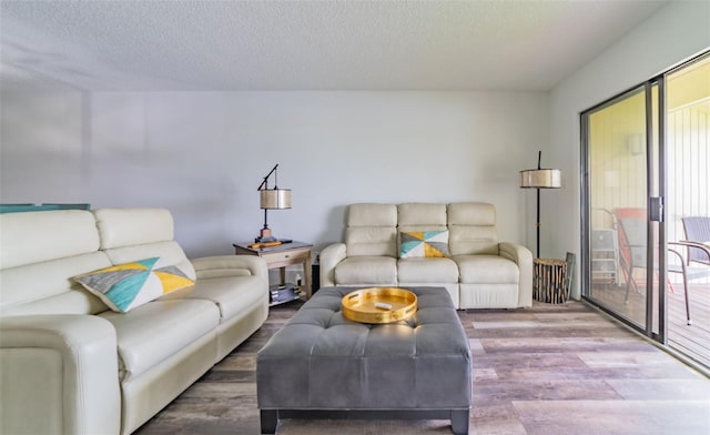 living room featuring a textured ceiling and hardwood / wood-style flooring