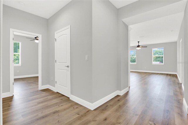 hall featuring wood-type flooring