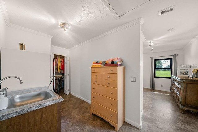 interior space with sink and ornamental molding