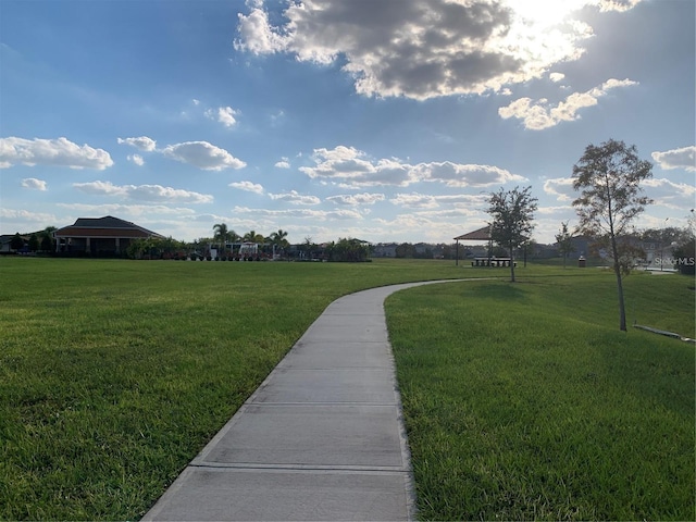 view of community with a yard