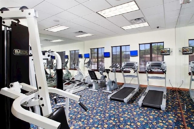 workout area with carpet and a paneled ceiling