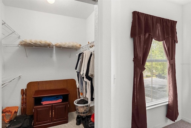 walk in closet featuring carpet floors