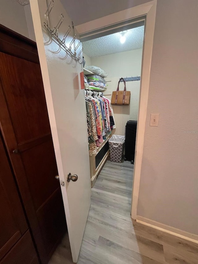 spacious closet featuring light hardwood / wood-style flooring