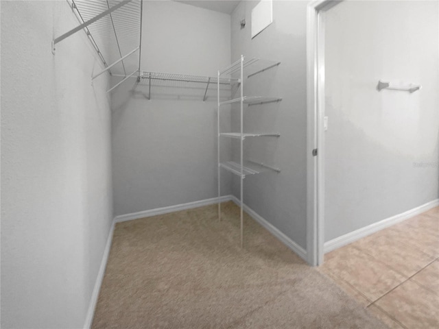 walk in closet featuring carpet flooring