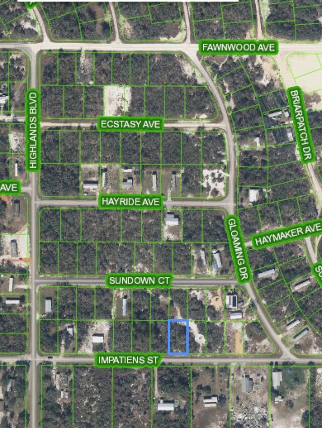 176 Impatiens St, Lake Placid, FL 33852