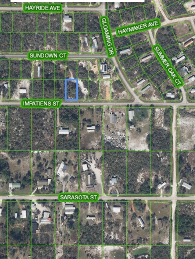 176 Impatiens St, Lake Placid, FL 33852