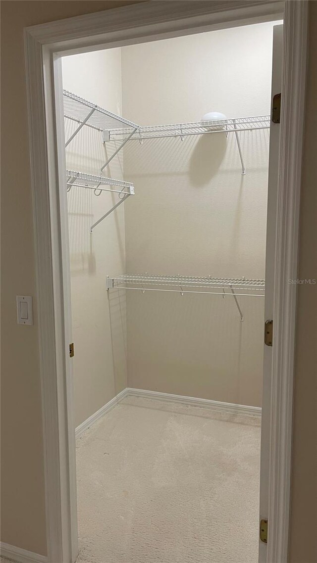 681 Coronado Dr, Kissimmee, FL 34759 - walk in closet with carpet floors