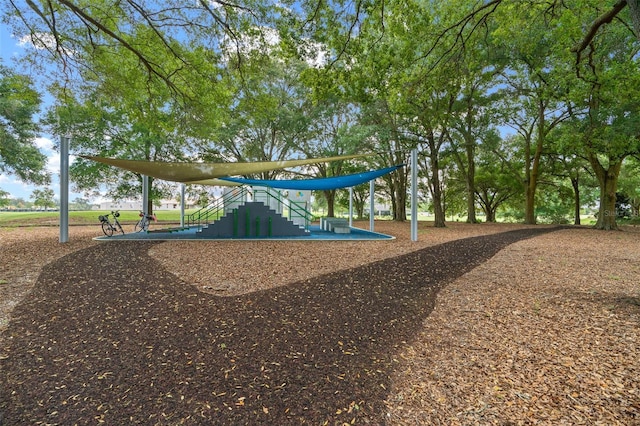 view of jungle gym