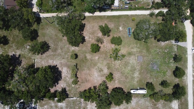3100 Poverty Ln, Apopka, FL 32712