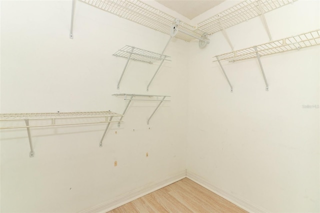 walk in closet with light wood-type flooring