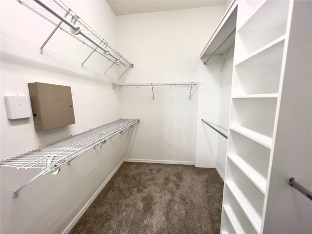 spacious closet featuring dark carpet