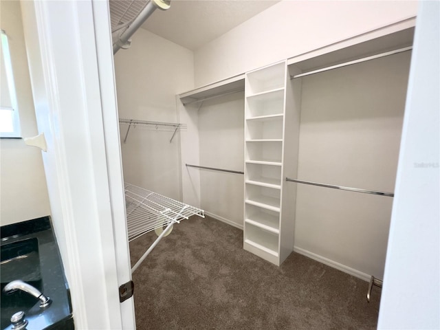 spacious closet featuring dark colored carpet