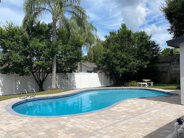 view of swimming pool with a patio