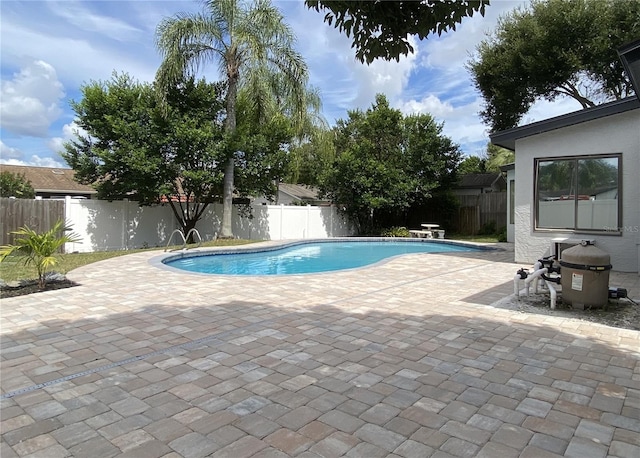 view of swimming pool with a patio area