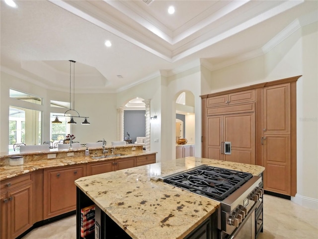 kitchen featuring light stone countertops, a raised ceiling, crown molding, sink, and a center island