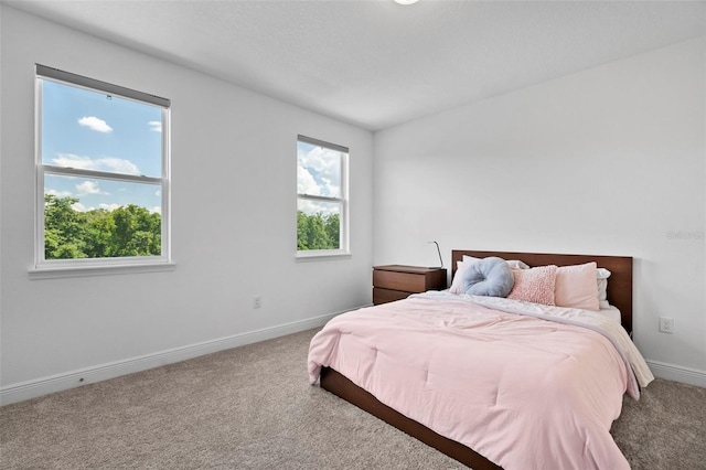 bedroom with carpet floors