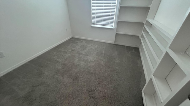 interior space with dark carpet