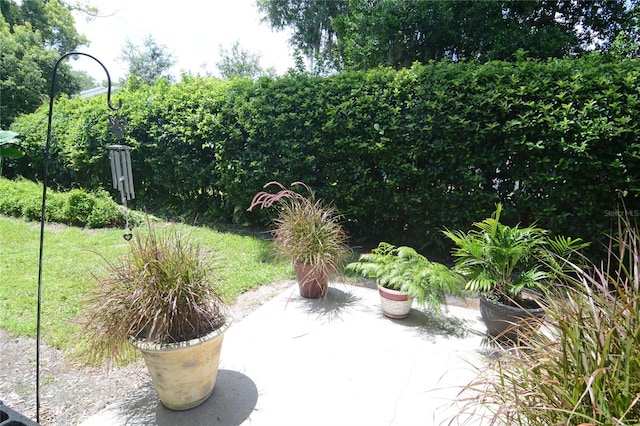 view of yard featuring a patio