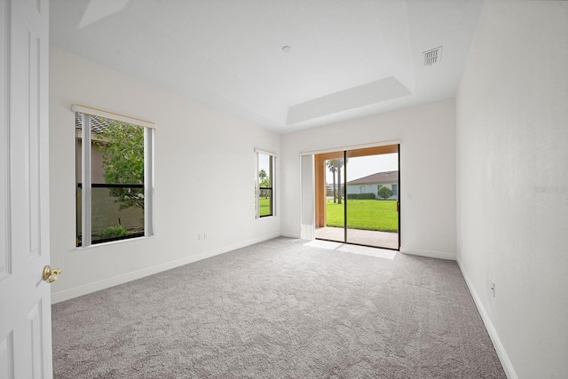 carpeted spare room featuring a raised ceiling