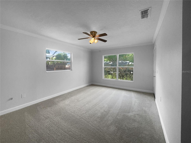 carpeted spare room with a healthy amount of sunlight, ornamental molding, and a textured ceiling