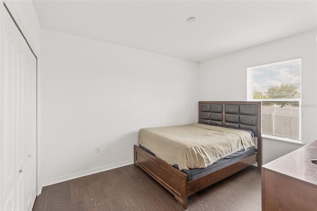 bedroom featuring dark hardwood / wood-style floors and a closet